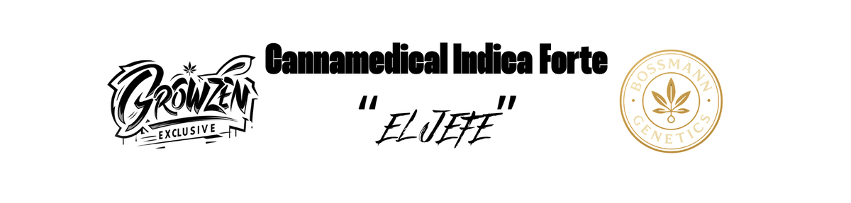 2 Logos und der Name der Cannabissorte