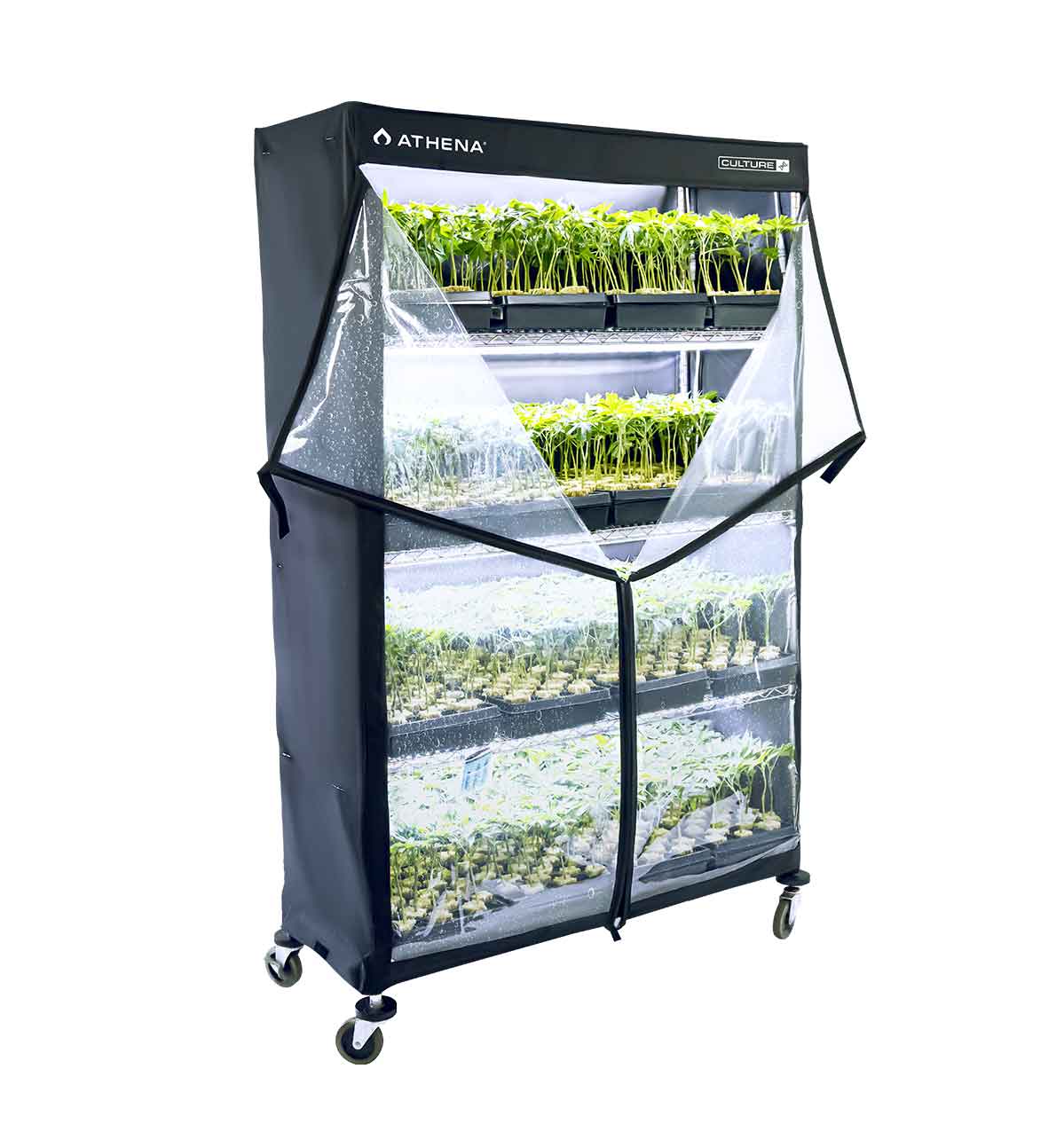 Athena VPDome Anzuchtzelt 122x183x41 Hülle ohne Stangen