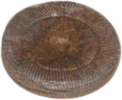 Jiffy Quelltöpfe Ø41mm