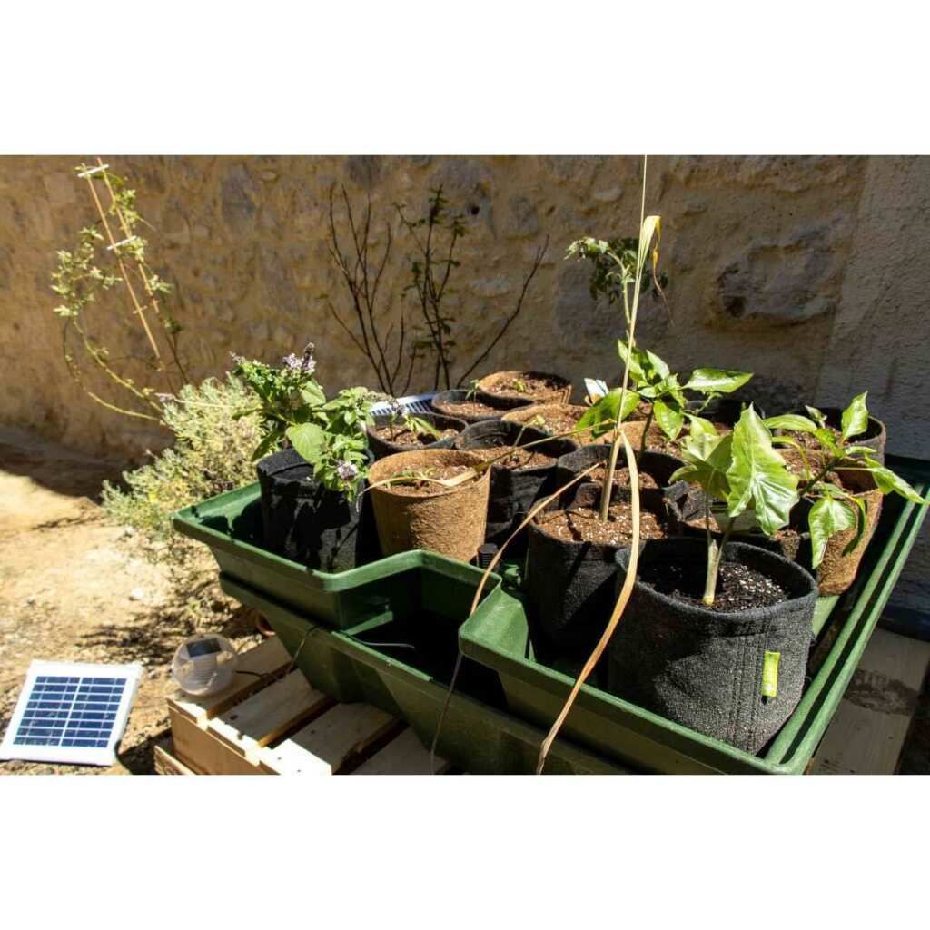 Ebb&Grow Solar | Ebbe Flut System | Terra Aquatica (GHE) - Grow-Zen
