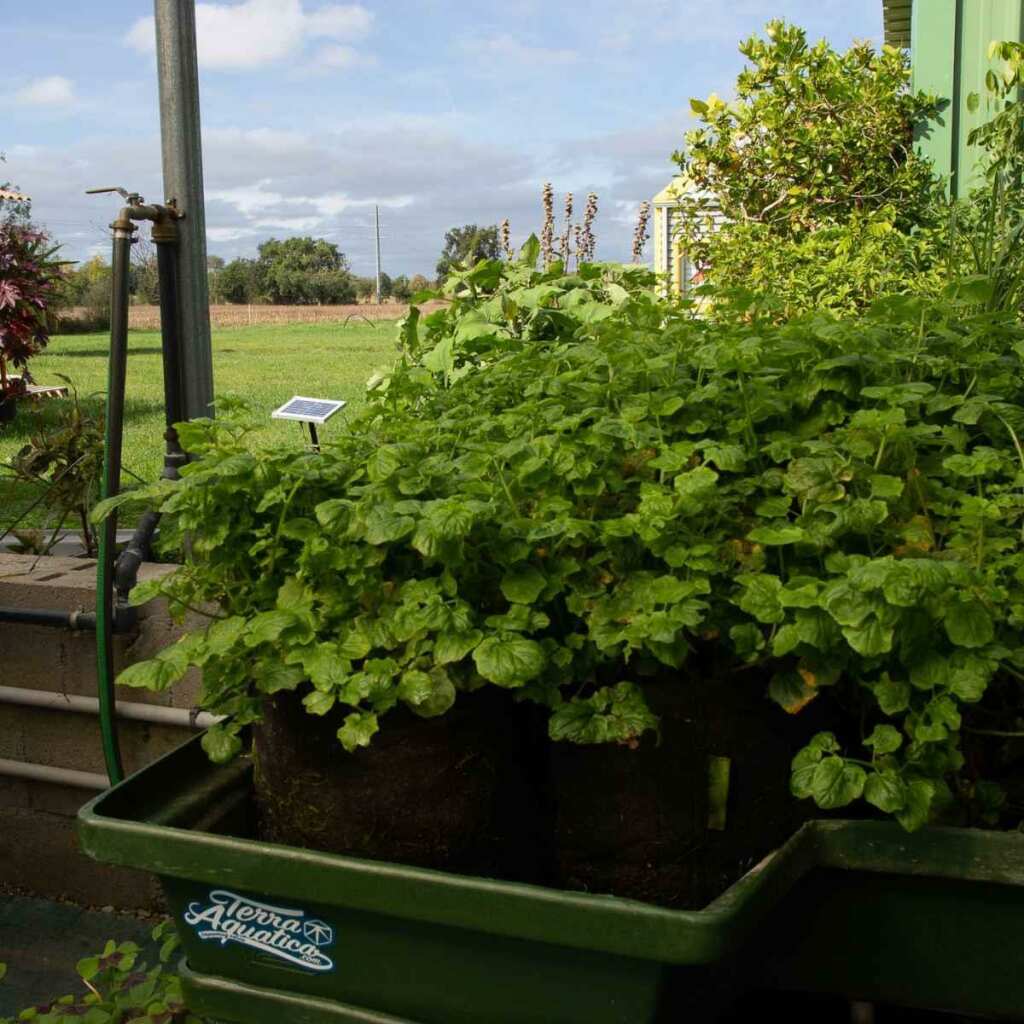 Ebb&Grow Solar | Ebbe Flut System | Terra Aquatica (GHE) - Grow-Zen