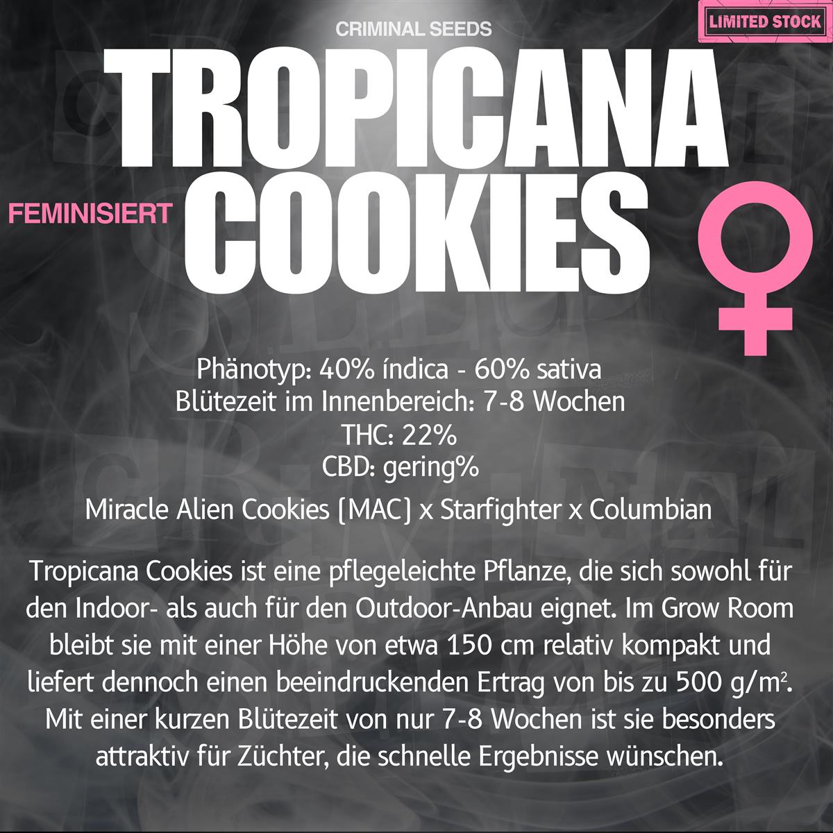 Criminal Seeds Tropicana Cookies x Cali Fem 3St.