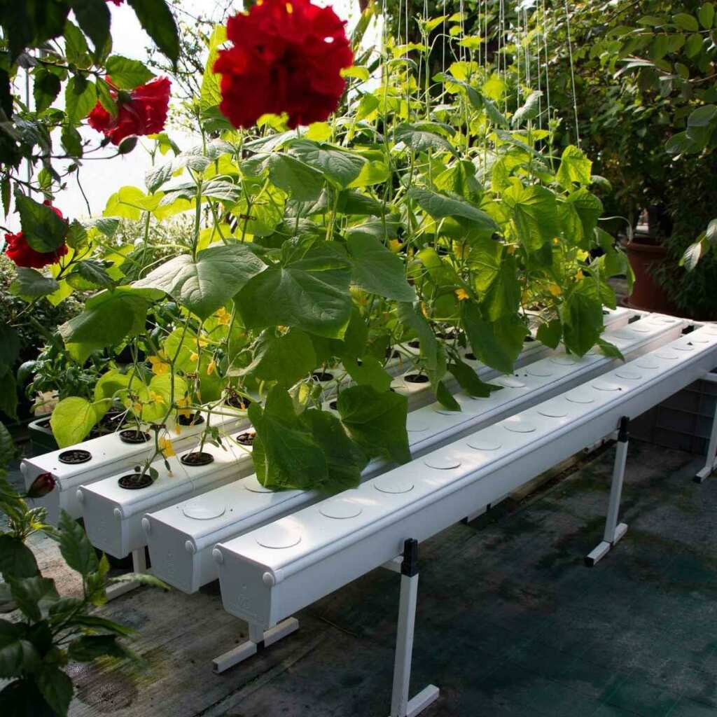 GrowStream 80 | Aeroponik System (V2.0) | Terra Aquatica (GHE) - Grow-Zen