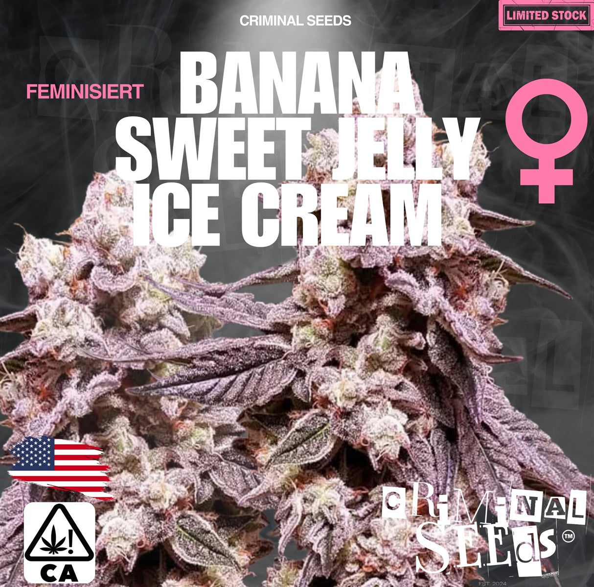 Criminal Seeds Banana Sweet Jelly Ice Cream x Cali Fem 3St.