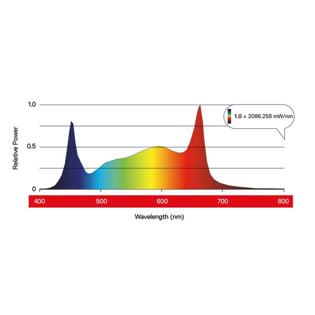 Maxibright | Daylight | 480 Watt | 1104 µmol/s - Grow-Zen