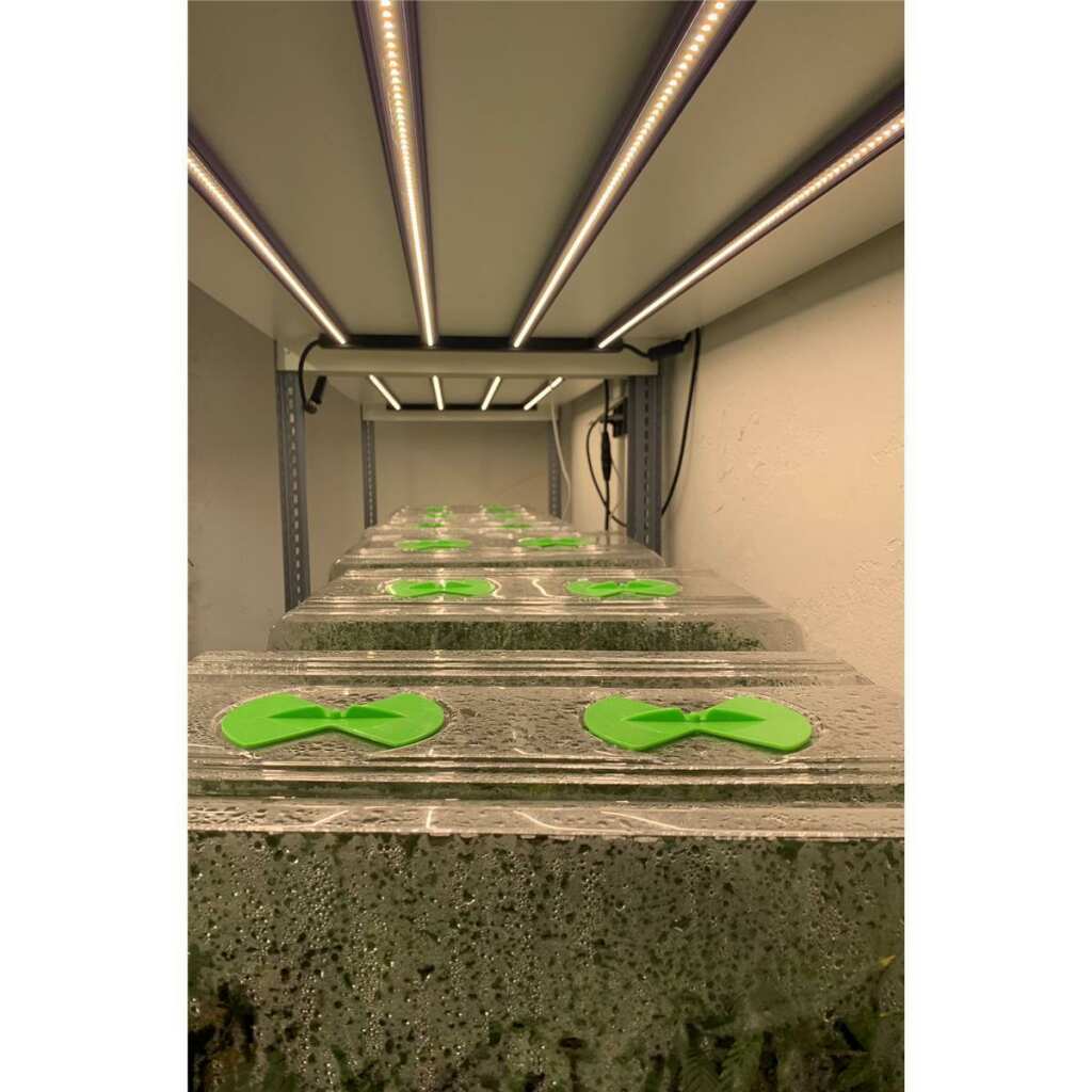 Lumatek | 120W Anzucht LED-Lampe | Sämlinge | Stecklinge | Vertical Farming | 120 Watt | 308 µmol/s - Grow-Zen