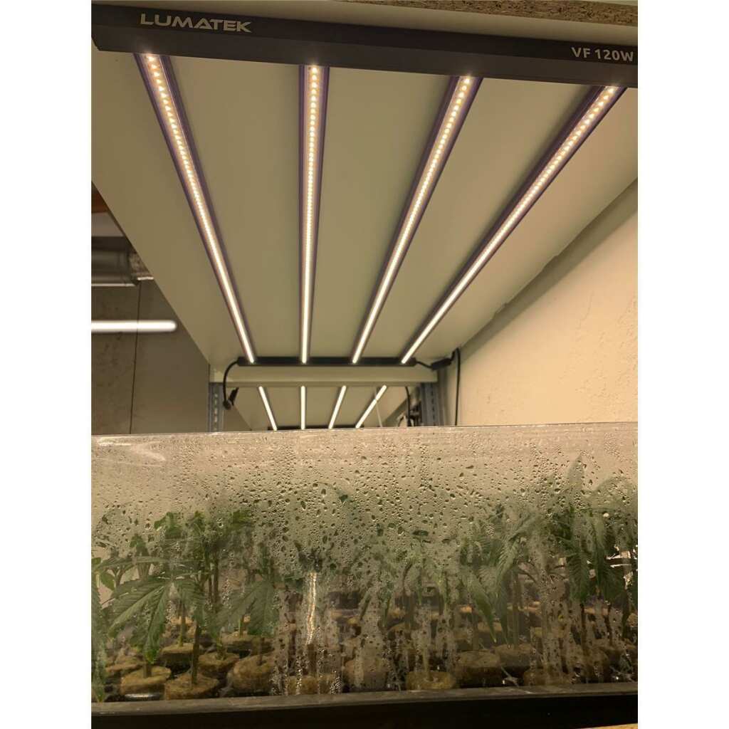 Lumatek | 120W Anzucht LED-Lampe | Sämlinge | Stecklinge | Vertical Farming | 120 Watt | 308 µmol/s - Grow-Zen