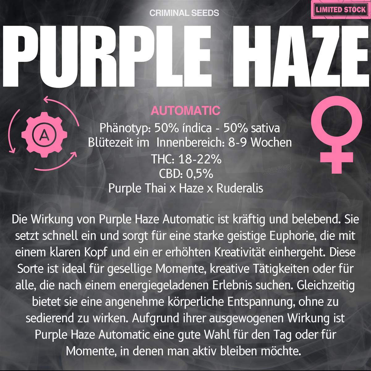 Criminal Seeds Purple Haze Auto Fem 3St.
