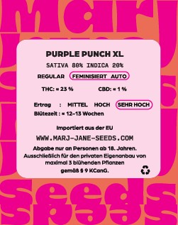 Marj Jane Purple Punch XL Auto Fem. 3St.