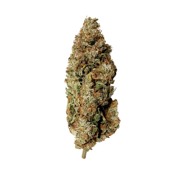 Royal Queen Seeds Royal Runtz Fem. 3St.