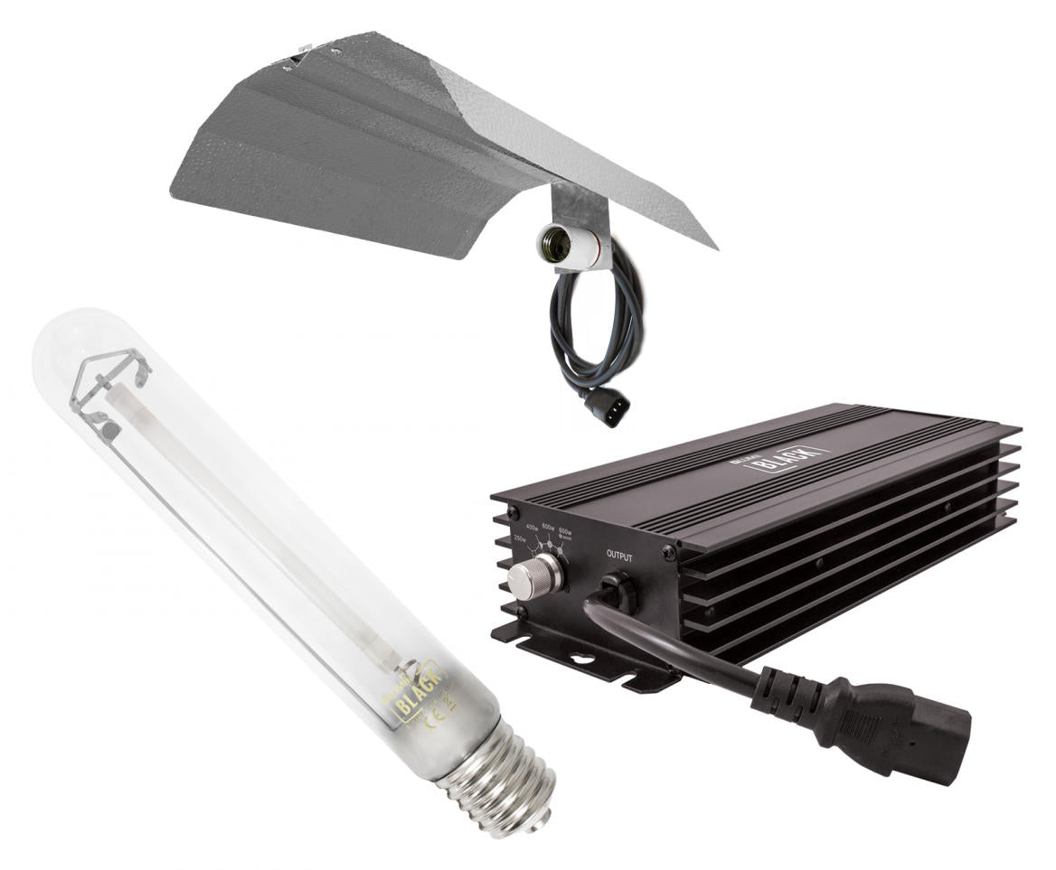 Lumii 600Watt Beleuchtungsset