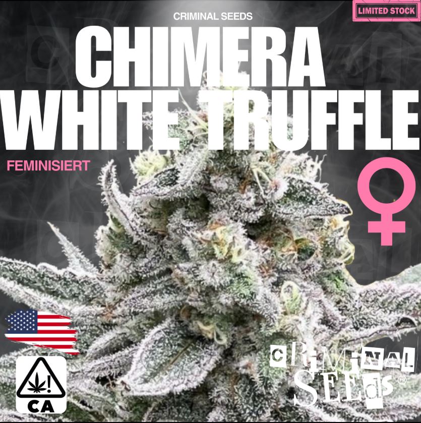 Criminal Seeds Chimera White Truffle Cali Limited Edition Fem 3St.