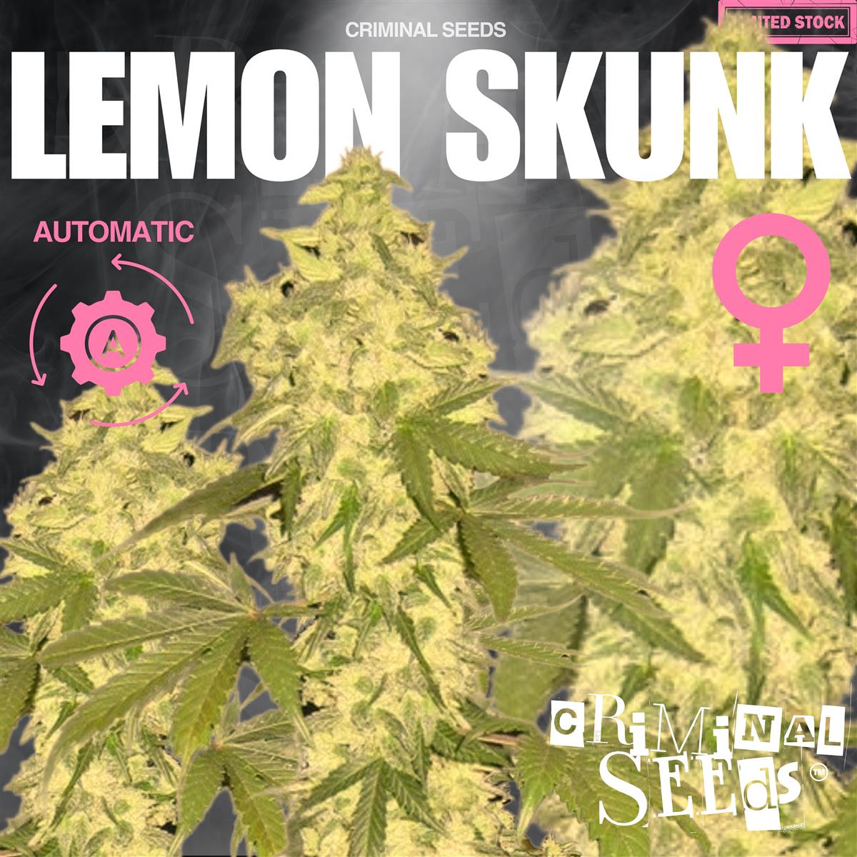 Criminal Seeds Lemon Skunk Auto Fem 3St.