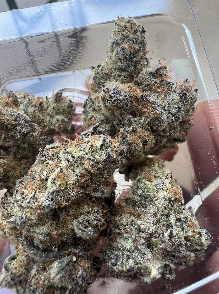 In House Genetics Frozen Grapes Fem 3St.