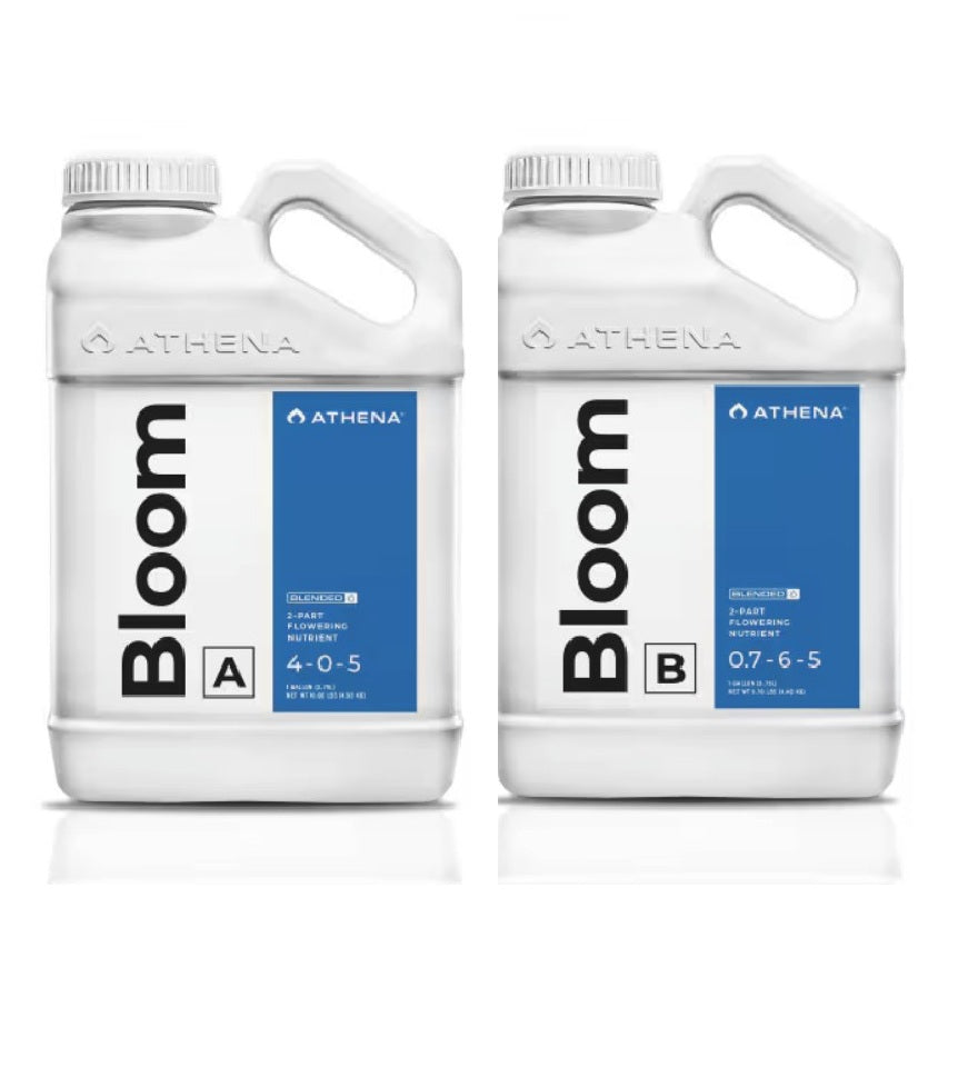 Athena Bloom A+B 2x 946 ml