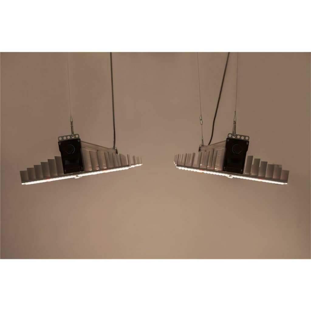 SANlight EVO 5-120 1.5 | 340 Watt | 915 µmol/s - Grow-Zen