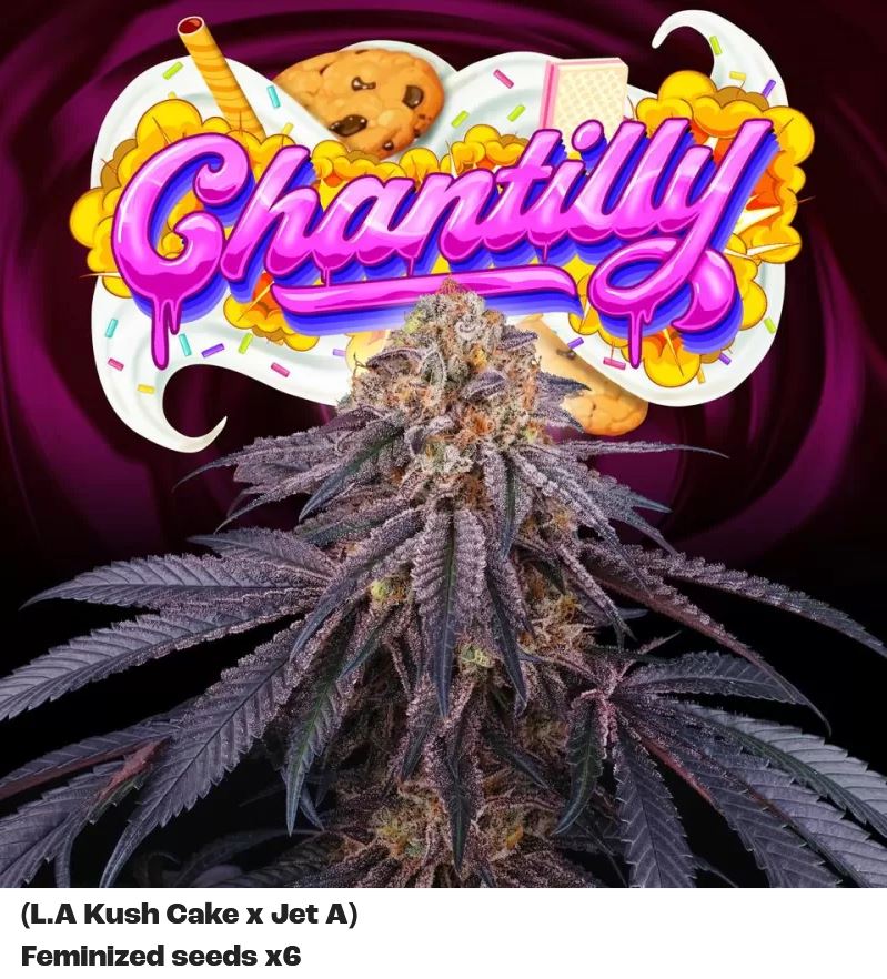 Perfect Tree Chantilly X6 Fem 6St.