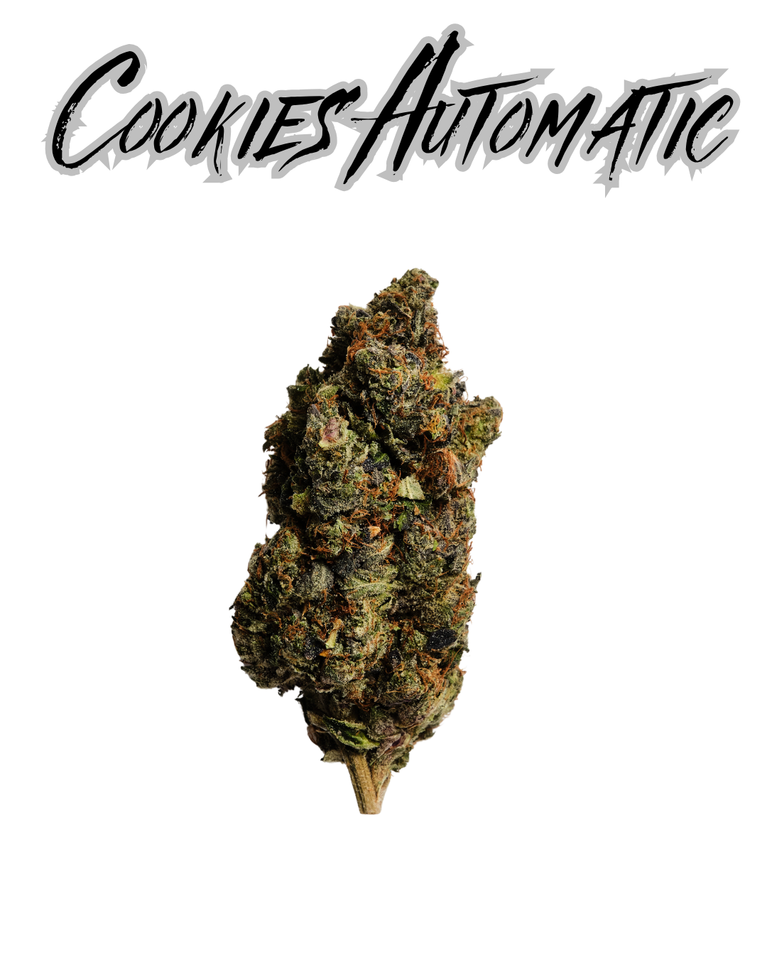GrowZen - Cookies Automatics 3stk
