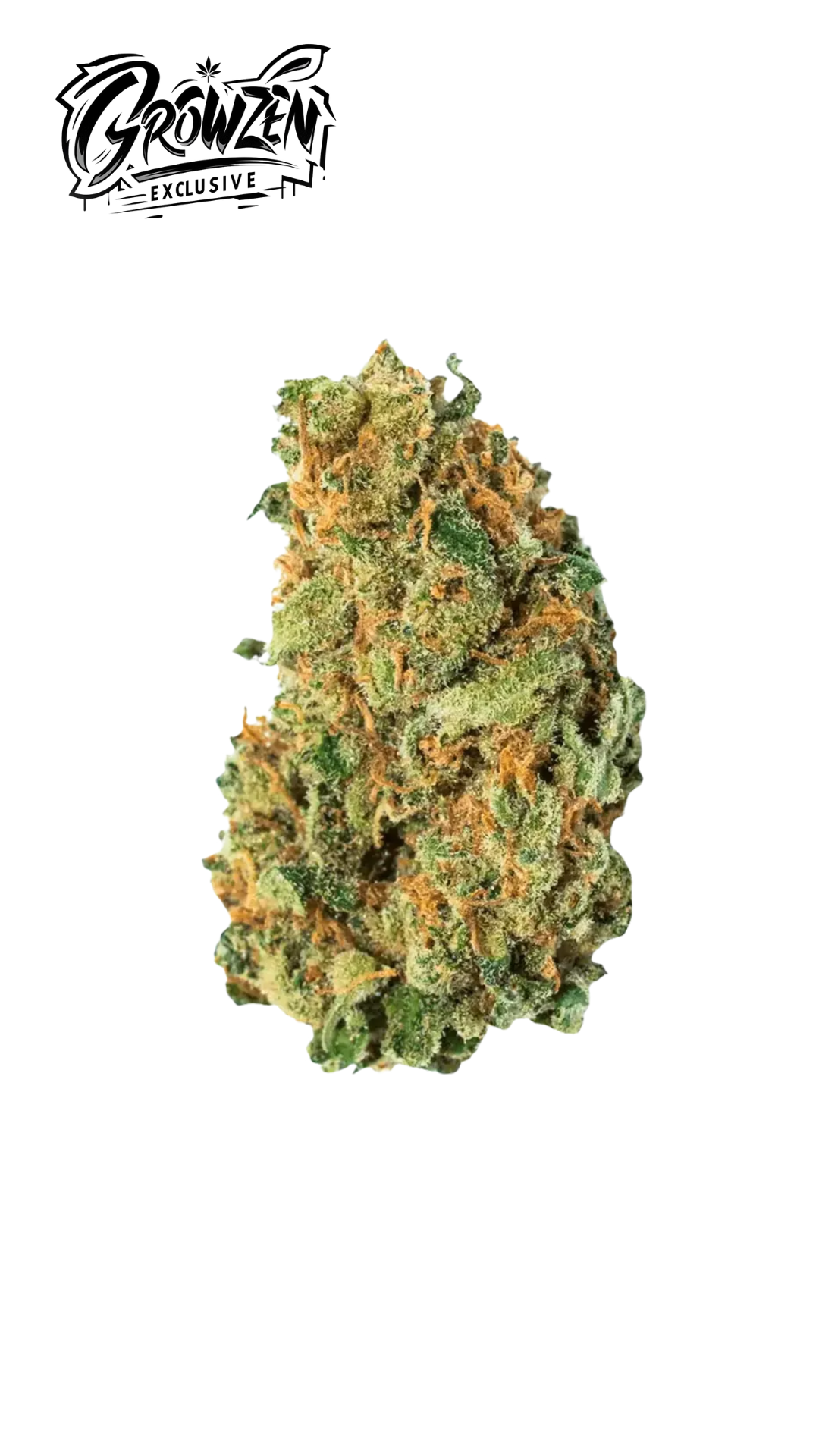 GrowZen - Amnesia Haze Feminisiert 3stk