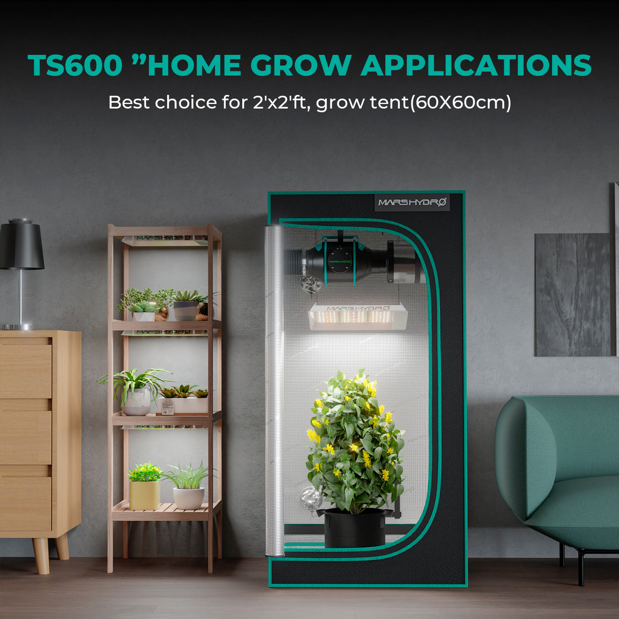 Mars Hydro TS 600 Komplettset 60x60x140