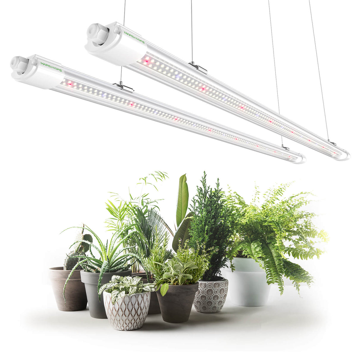 Mars Hydro VG80 80W 4ft LED T5 Wachstumslicht für Gemüse und Sämlinge - grow-zen