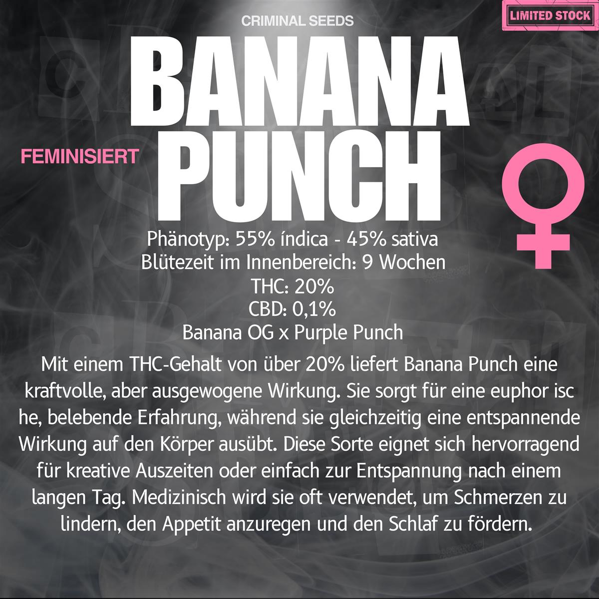 Criminal Seeds Banana Punch Fem 3St.
