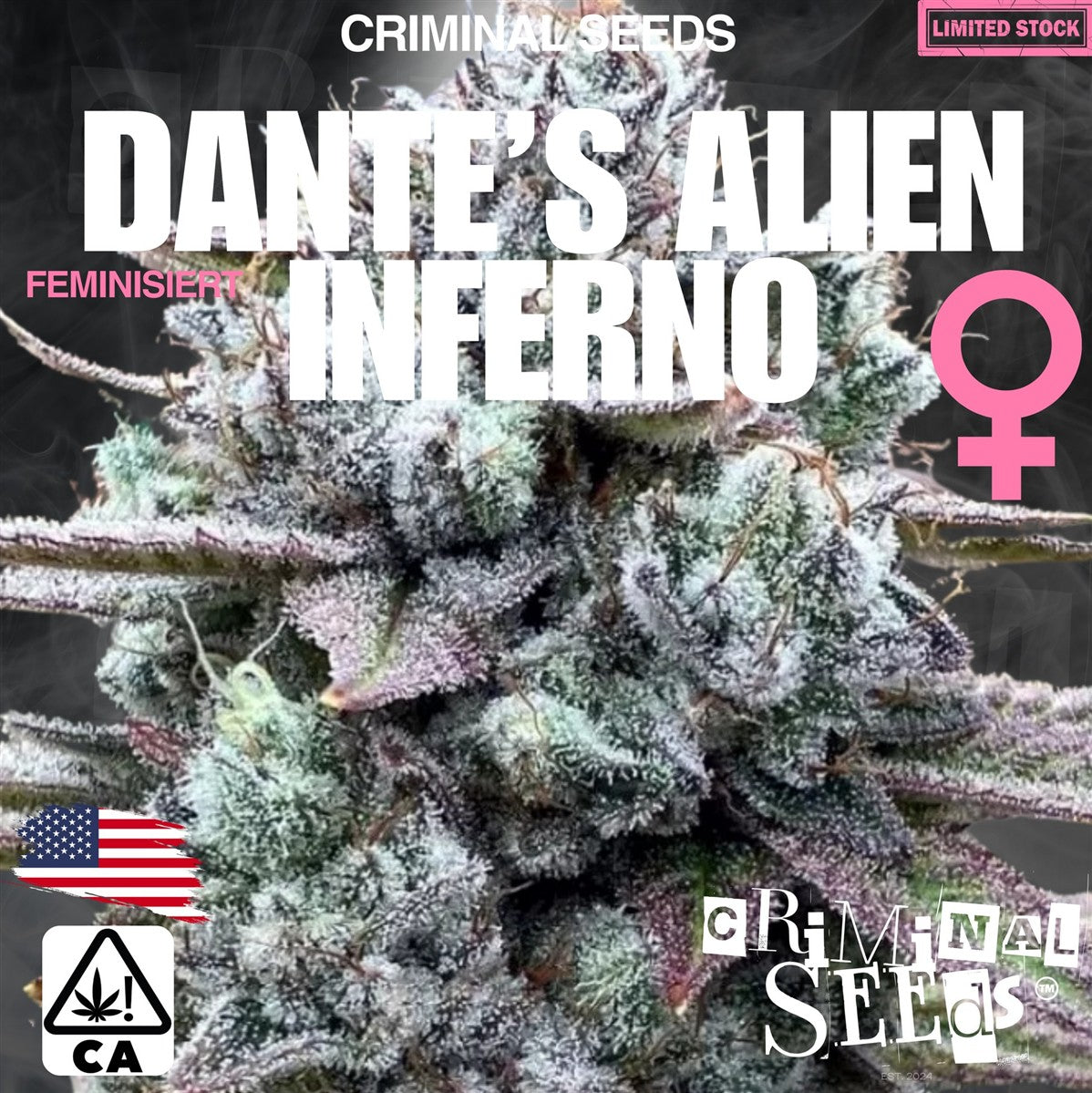 Criminal Seeds Dantes Alien Inferno x Cali Fem 3St.