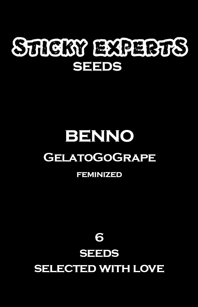 Sticky Experts Benno GelatoGoGrape Fem 6St.