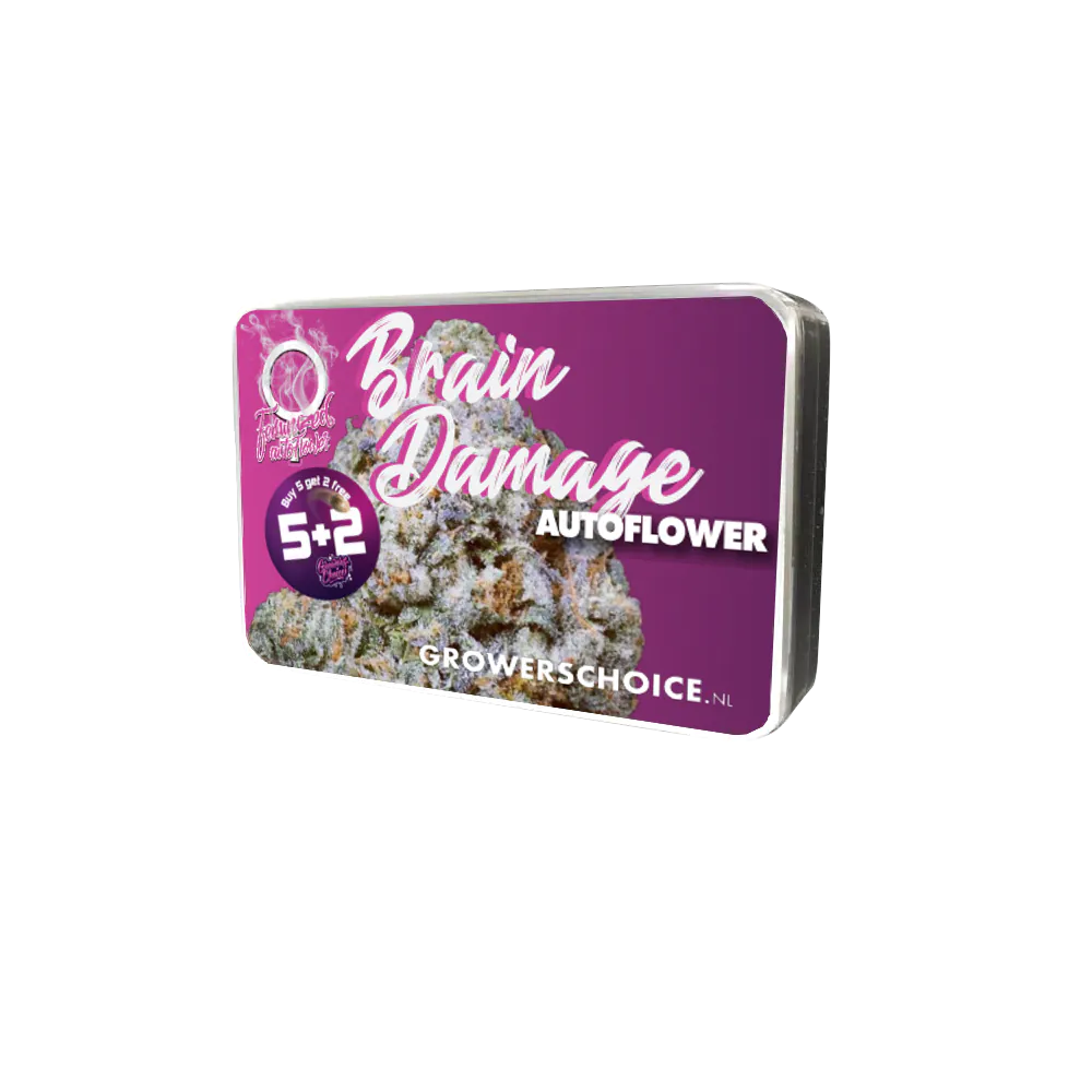 Growers Choice BrainDamage Auto 3+1 Seeds