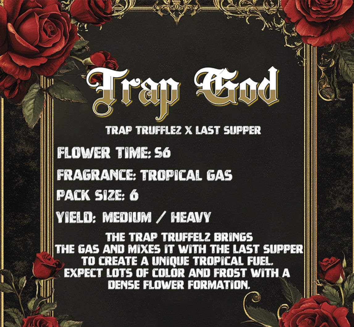 Solfire Gardens Trap God Fem 3St.