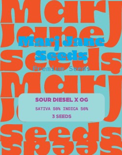 Marj Jane Sour Diesel X OG Fem. 3St.