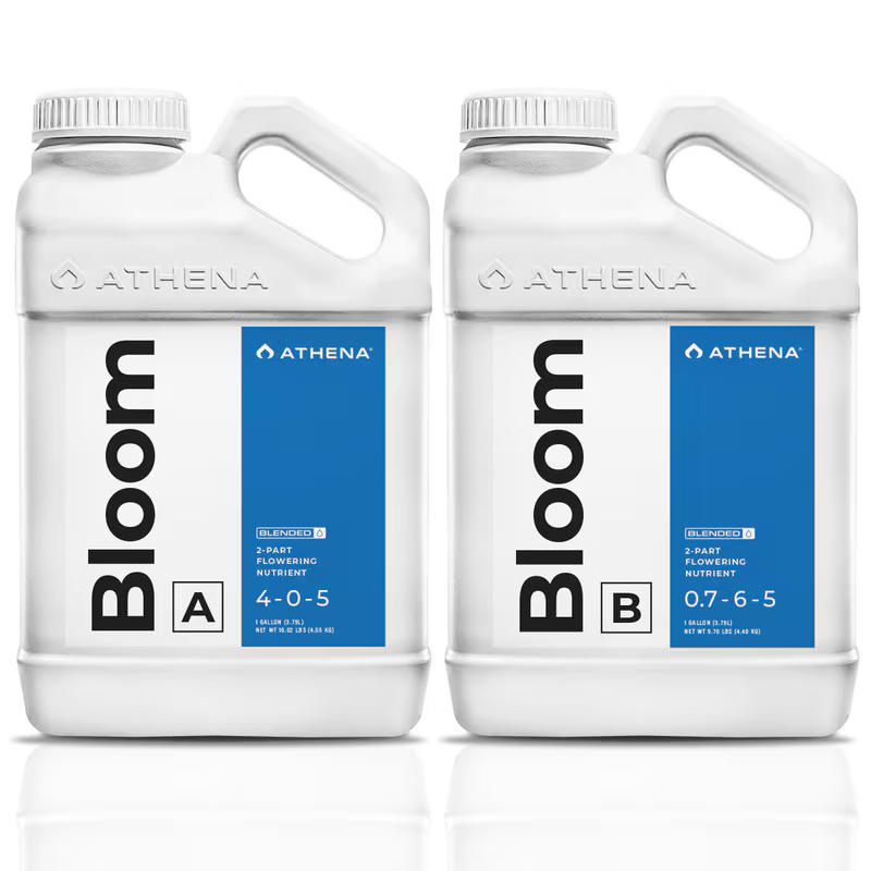 Athena Bloom A+B 3,79 Liter