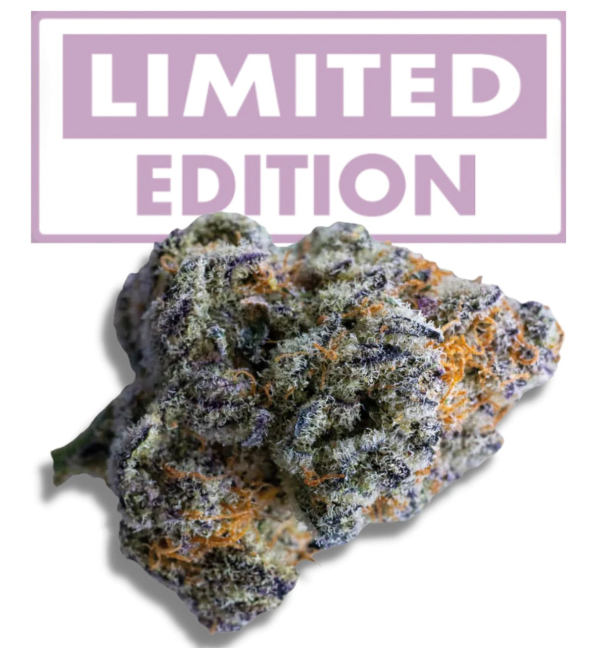 Growers Choice Platinum Mimosa Cookies XXL Auto Fem 3St.