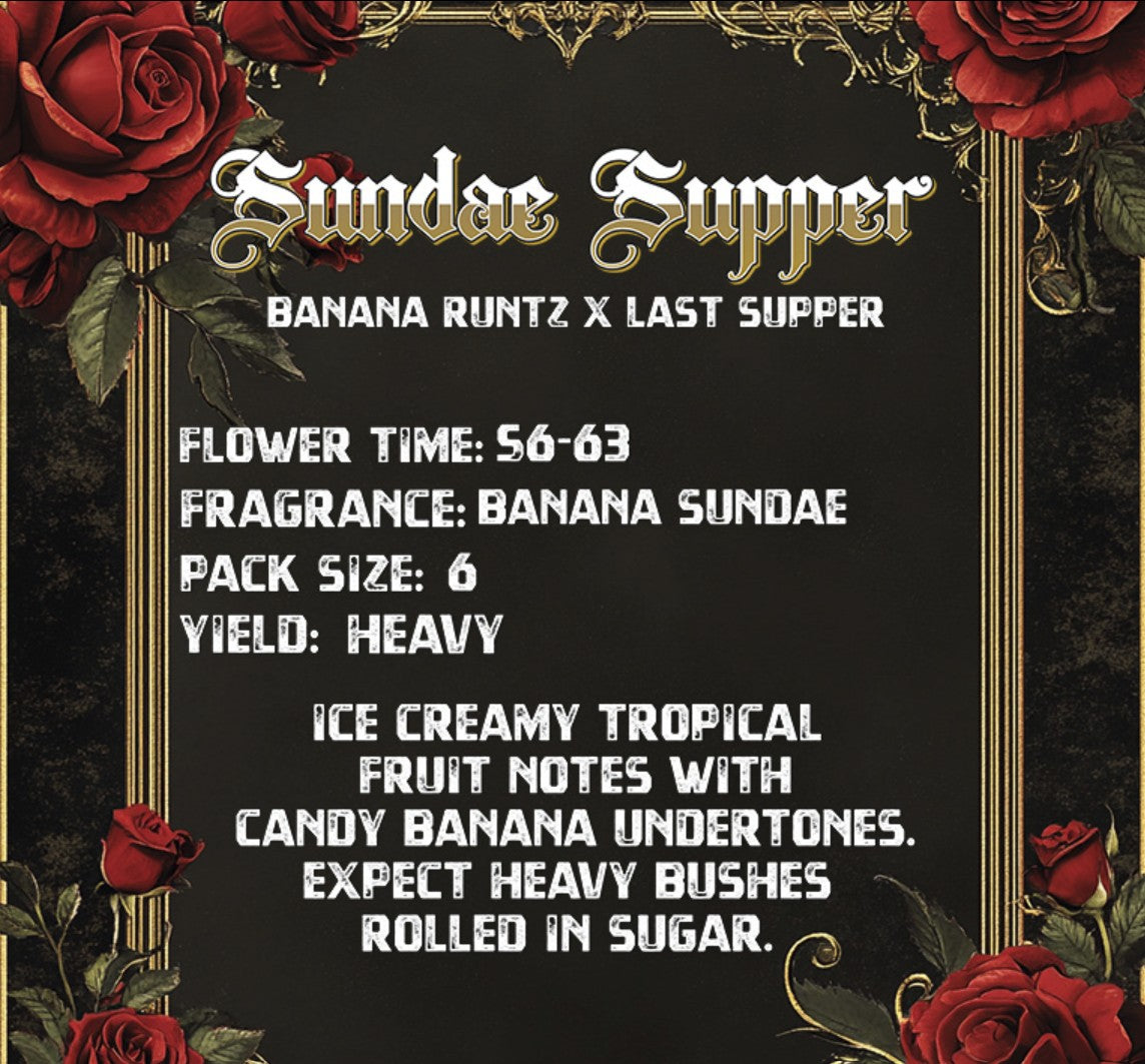 Solfire Gardens Sundae Supper Fem 3St.