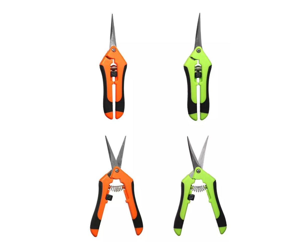 Heisenberg Trimtray-SET