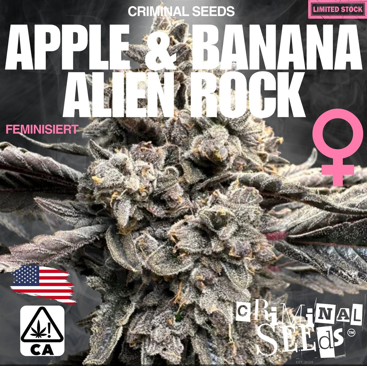 Criminal Seeds Apple Banana Alien Rock Fem 3St.