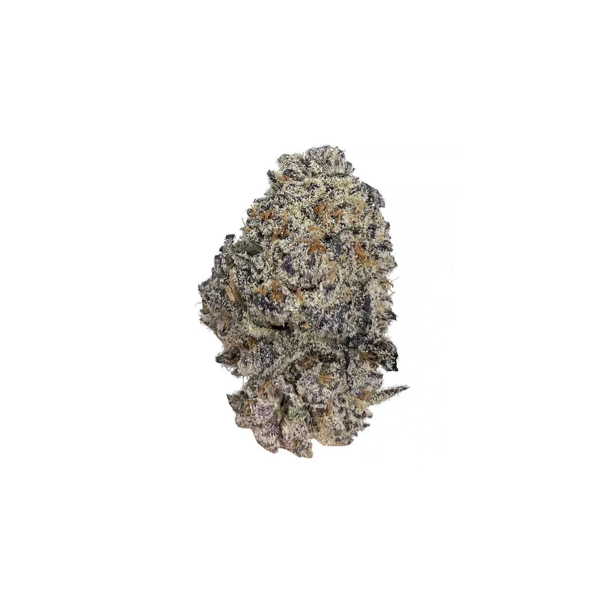 Growers Choice Original Oreoz Fem 3St.