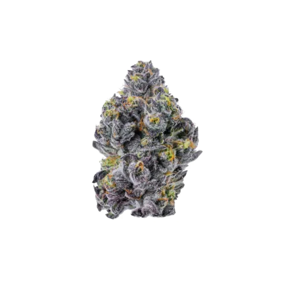 Growers Choice Sticky Wasabi Triploid Fem 3St.