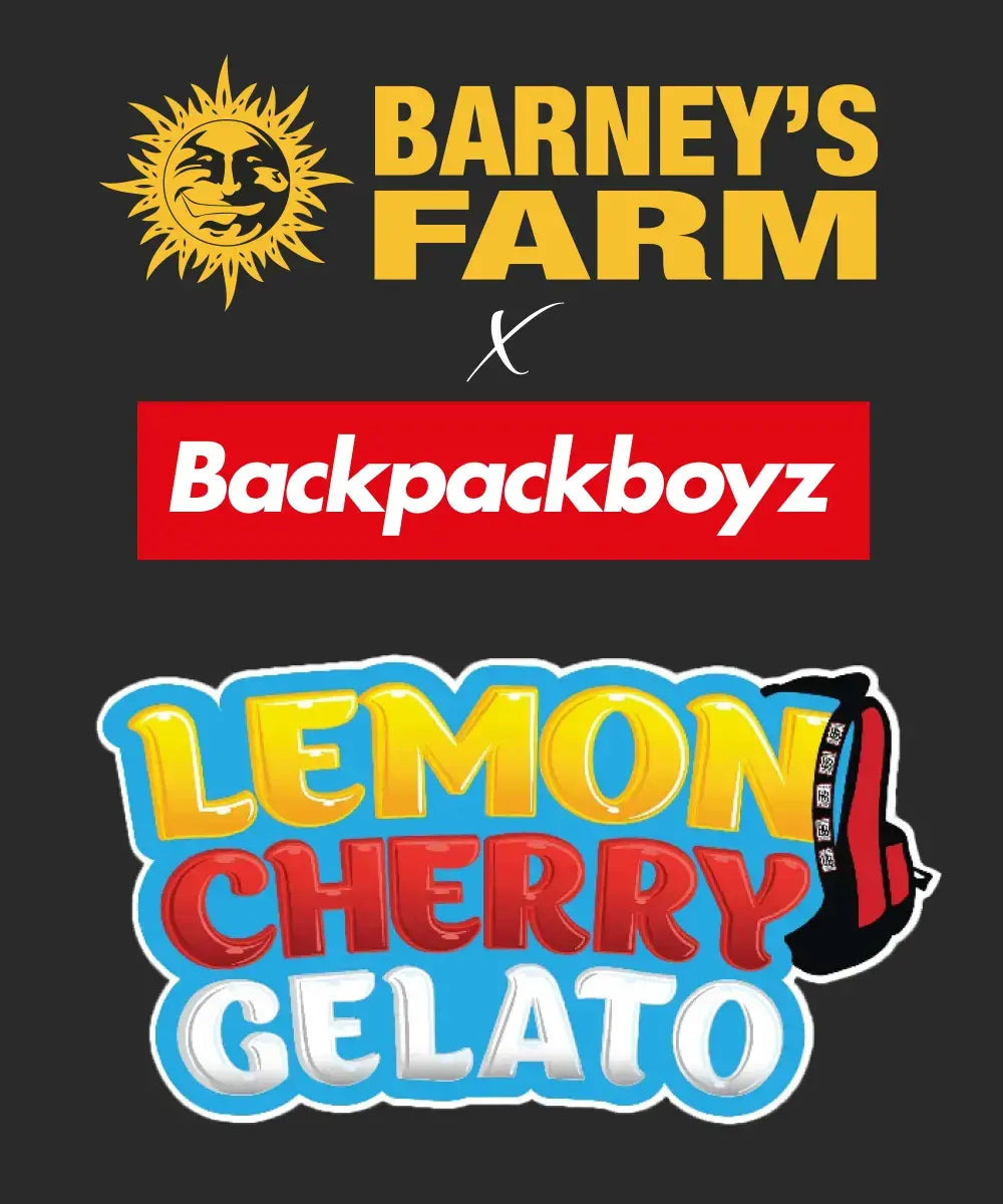 Barneys Farm Lemon Cherry Gelato Fem 3St.