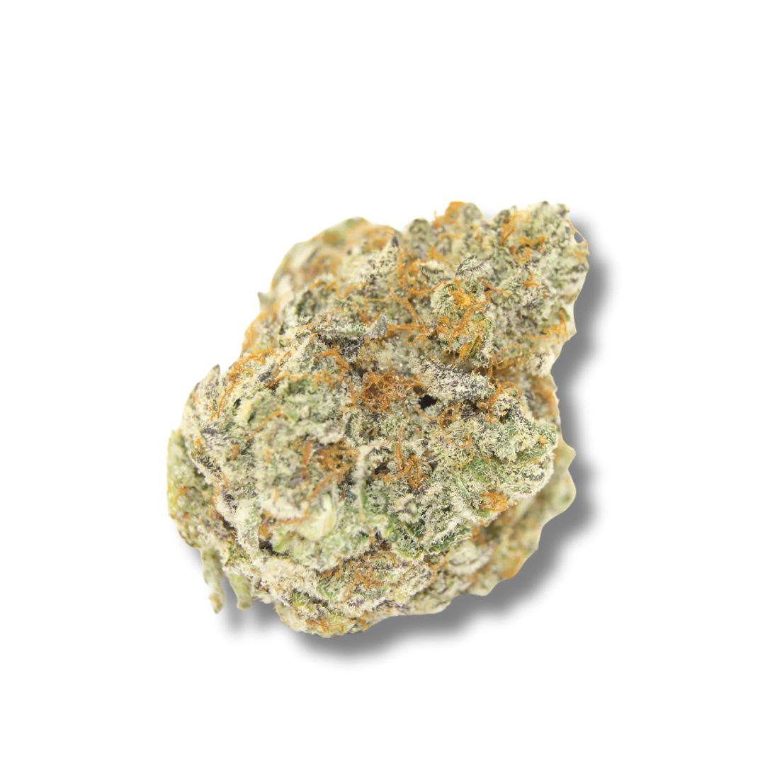 Growers Choice Permantent WhiteMarker Auto 3+1 Seeds