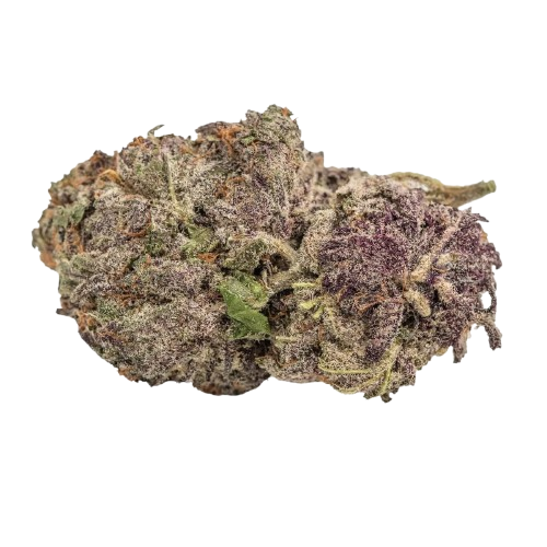 Growers Choice Ultra Violet GMO Fem 3St.