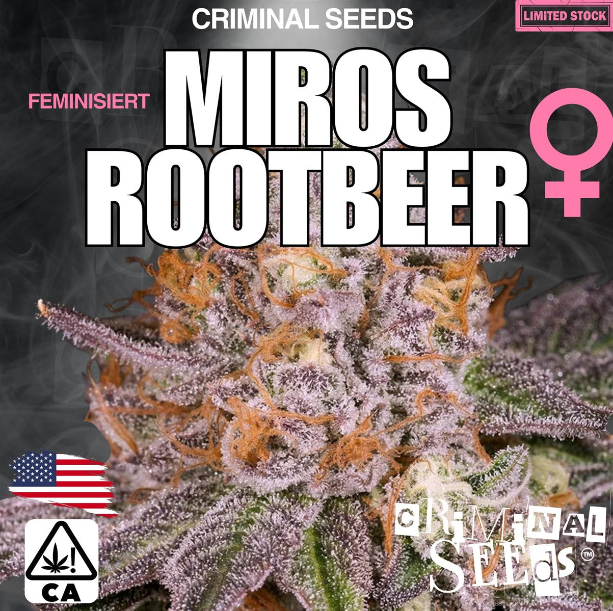 Criminal Seeds Miros Rootbeer x Cali Fem 3St.