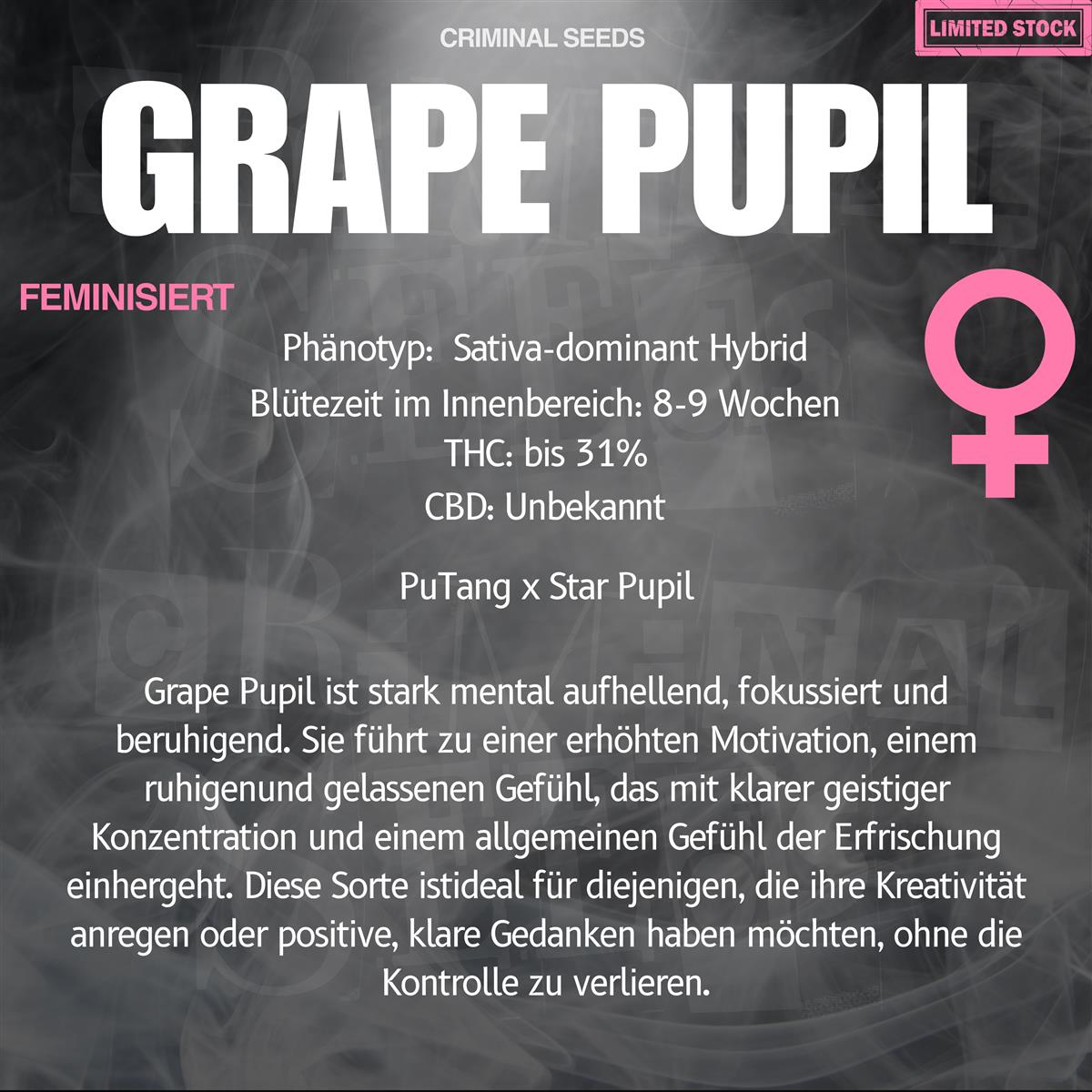 Criminal Seeds Grape Pupil x Cali Fem 3St.