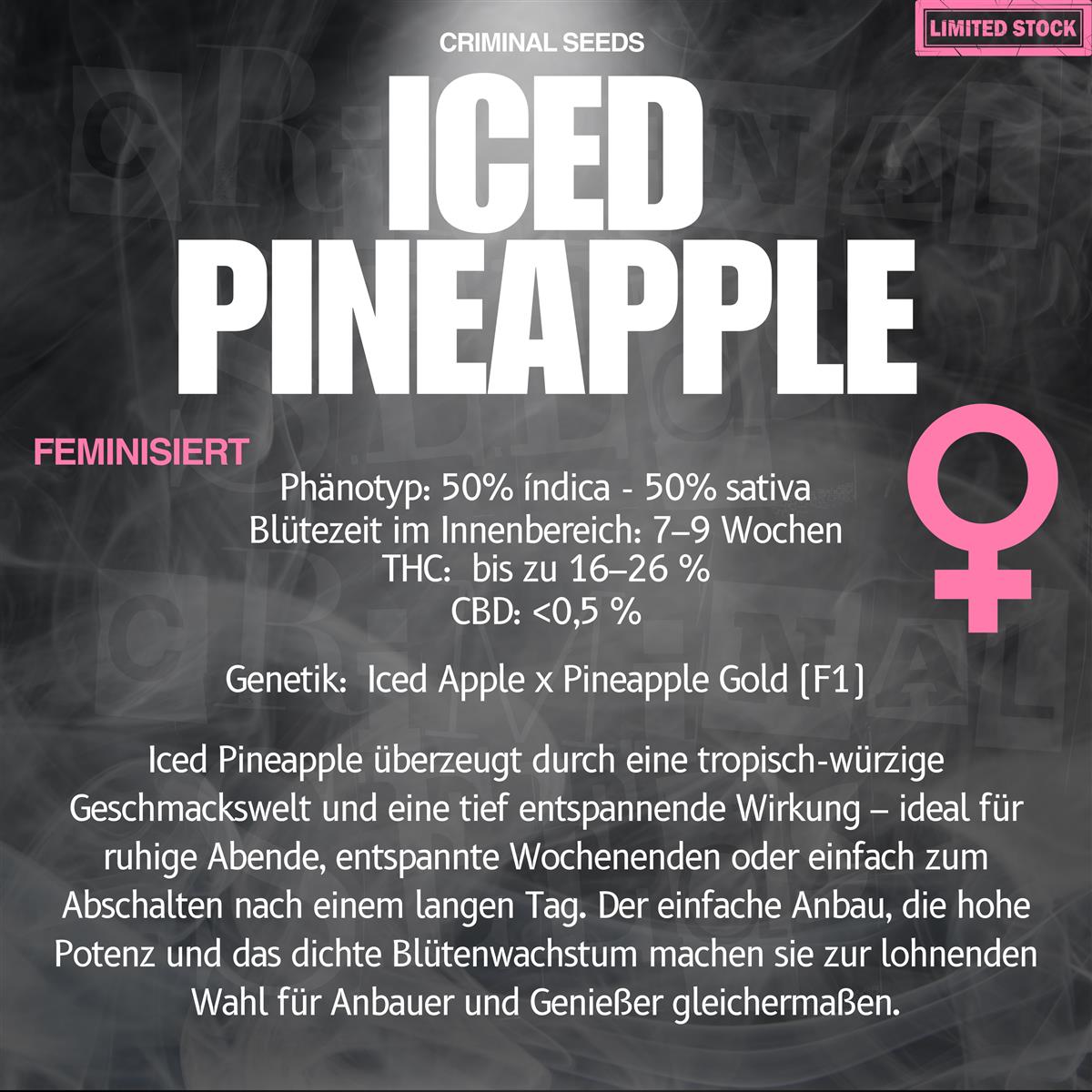 Criminal Seeds Iced Pineapple x Cali Fem 3St.