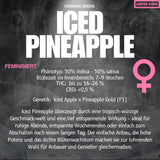 Criminal Seeds Iced Pineapple x Cali Fem 3St.