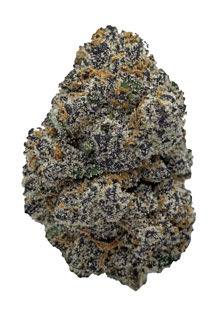 In House Genetics Tacky Glue Fem 3St.