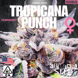 Criminal Seeds Tropicana Punch x Cali Fem 3St.