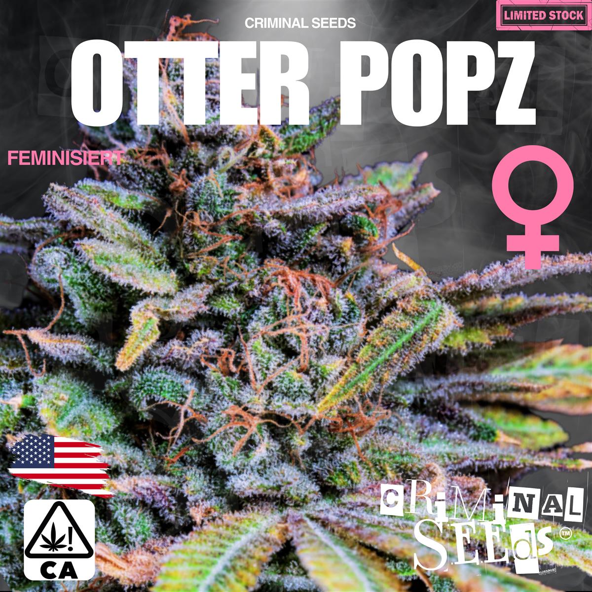 Criminal Seeds Otter Popz x Cali Fem 3St.