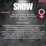 Criminal Seeds Snow x Cali Fem 3St.