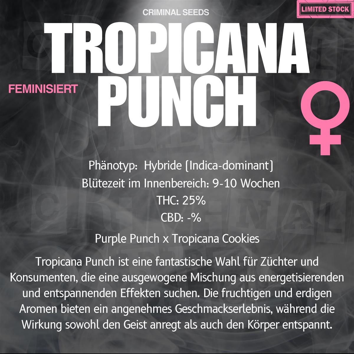 Criminal Seeds Tropicana Punch x Cali Fem 3St.